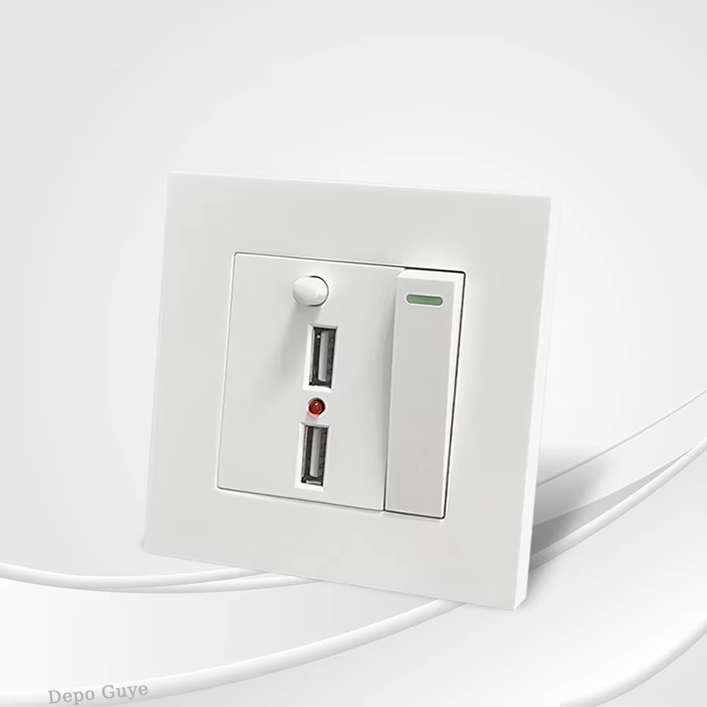 Switches & Sockets Item 30